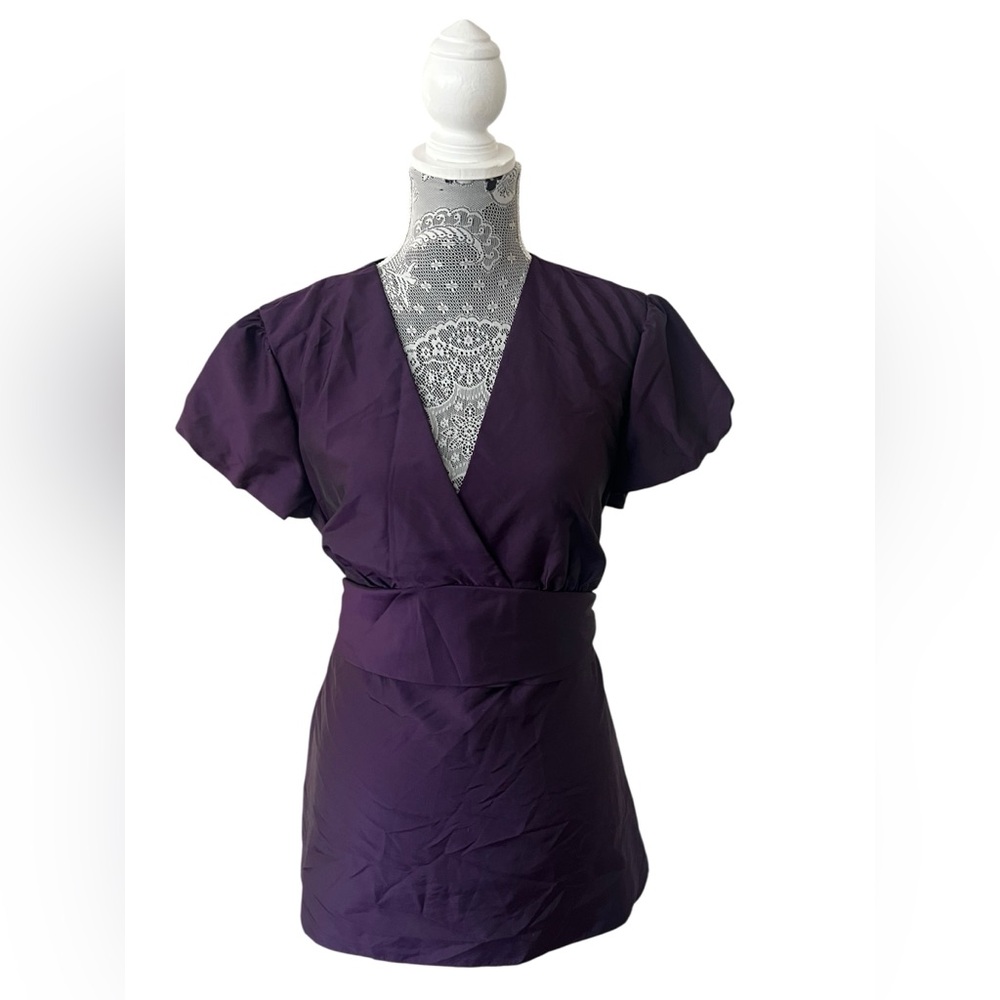 Ann Taylor Purple V Neck Short Sleeve Blouse Size 14